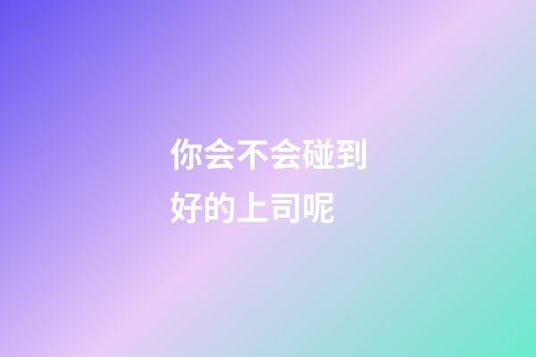 你会不会碰到好的上司呢?