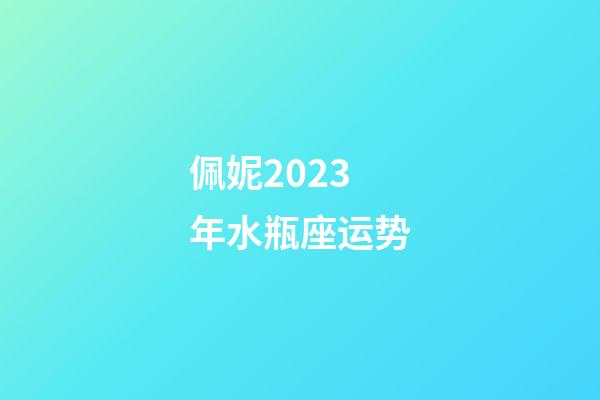 佩妮2023年水瓶座运势-第1张-星座运势-玄机派