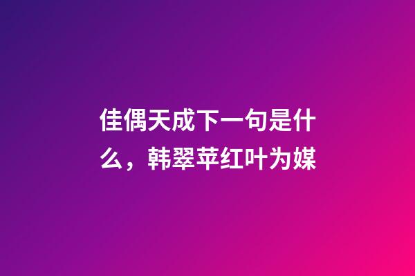 佳偶天成下一句是什么，韩翠苹红叶为媒-第1张-观点-玄机派