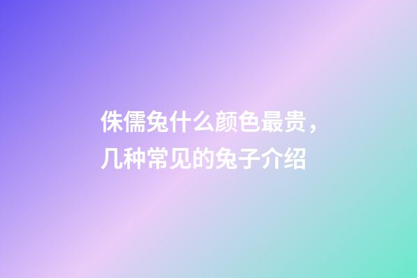 侏儒兔什么颜色最贵，几种常见的兔子介绍-第1张-观点-玄机派