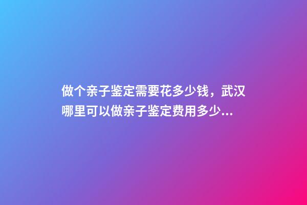 做个亲子鉴定需要花多少钱，武汉哪里可以做亲子鉴定费用多少钱-第1张-观点-玄机派