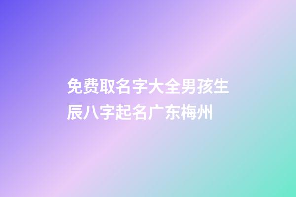 免费取名字大全男孩生辰八字起名广东梅州(梅州宝宝起名)-第1张-男孩起名-玄机派