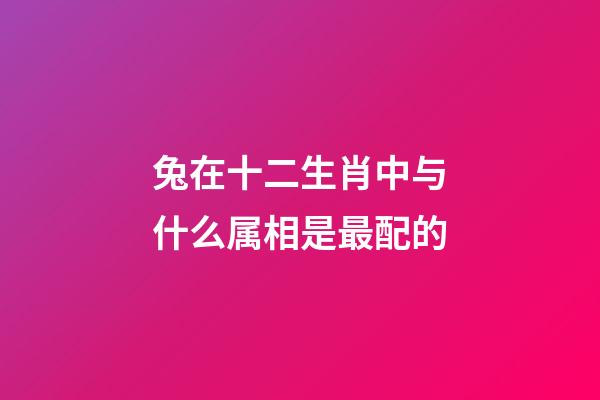 兔在十二生肖中与什么属相是最配的