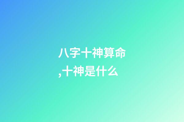 八字十神算命,十神是什么