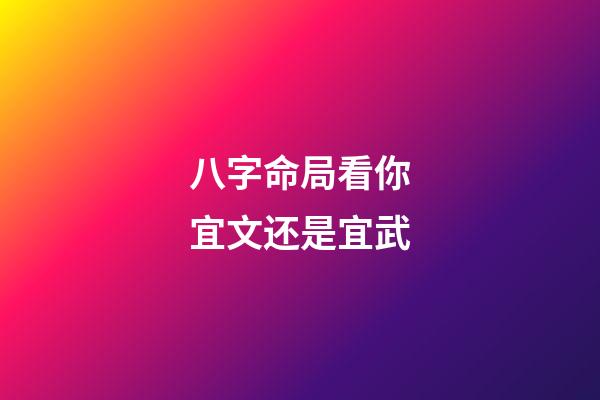 八字命局看你宜文还是宜武