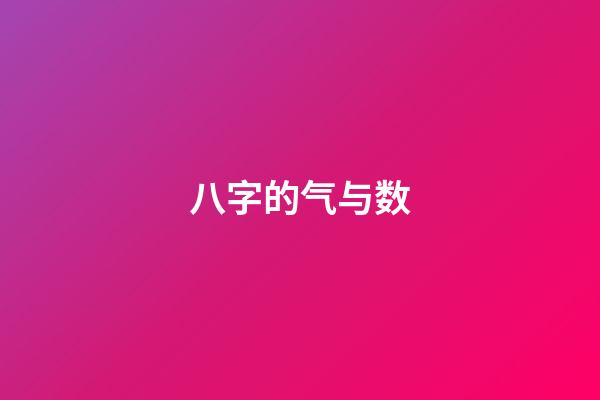 八字的气与数