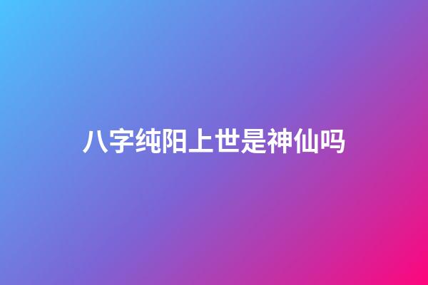 八字纯阳上世是神仙吗