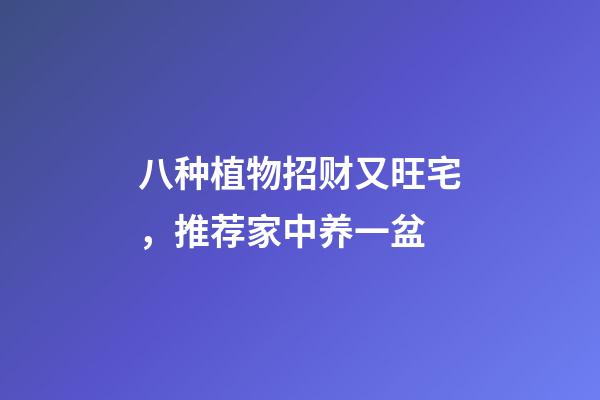 八种植物招财又旺宅，推荐家中养一盆