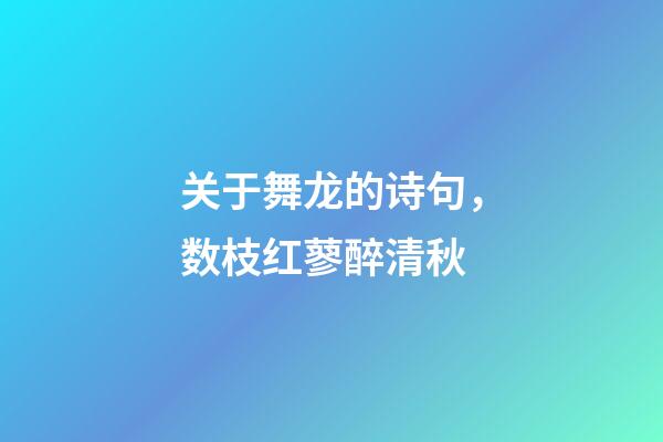 关于舞龙的诗句，数枝红蓼醉清秋-第1张-观点-玄机派