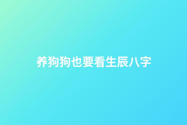 养狗狗也要看生辰八字