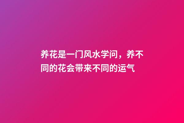 养花是一门风水学问，养不同的花会带来不同的运气