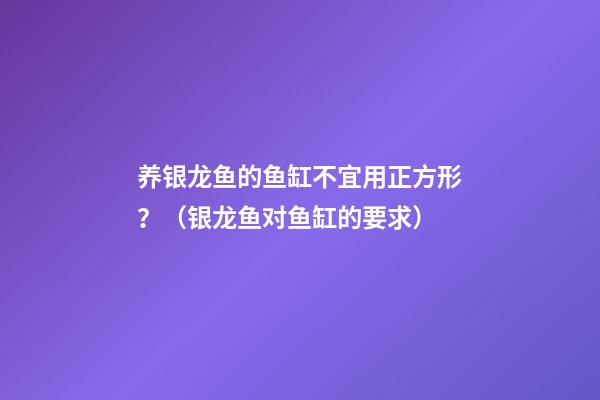 养银龙鱼的鱼缸不宜用正方形？（银龙鱼对鱼缸的要求）