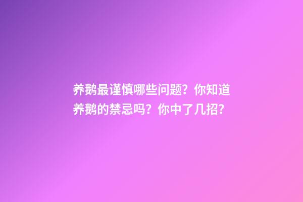 养鹅最谨慎哪些问题？你知道养鹅的禁忌吗？你中了几招？