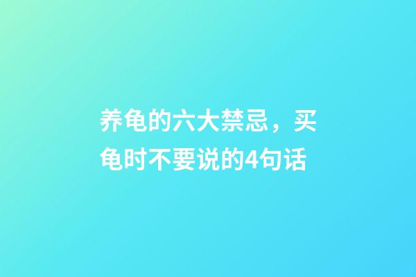 养龟的六大禁忌，买龟时不要说的4句话-第1张-观点-玄机派