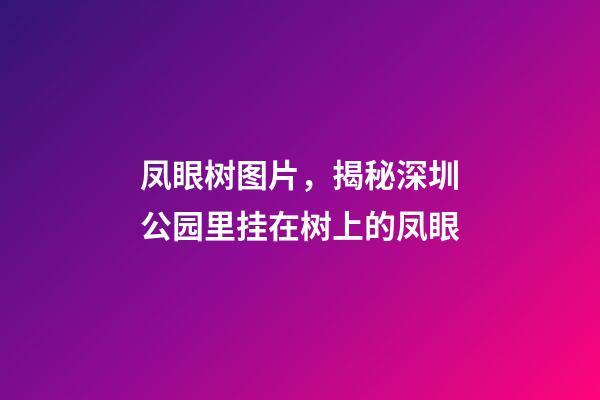 凤眼树图片，揭秘深圳公园里挂在树上的凤眼-第1张-观点-玄机派