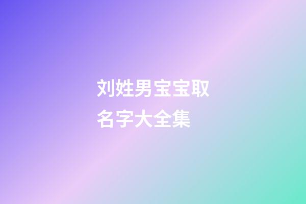 刘姓男宝宝取名字大全集(刘姓男宝宝取名字大全集两个字)-第1张-男孩起名-玄机派