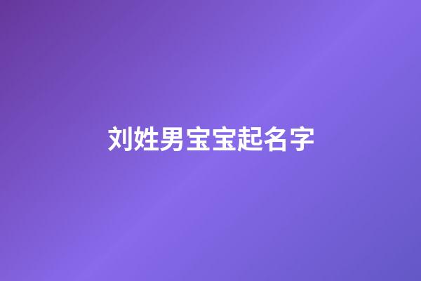 刘姓男宝宝起名字(刘姓男孩儿名字)-第1张-男孩起名-玄机派