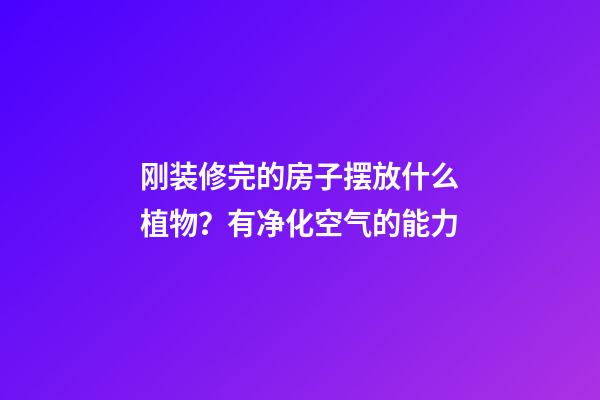 刚装修完的房子摆放什么植物？有净化空气的能力