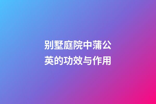 别墅庭院中蒲公英的功效与作用