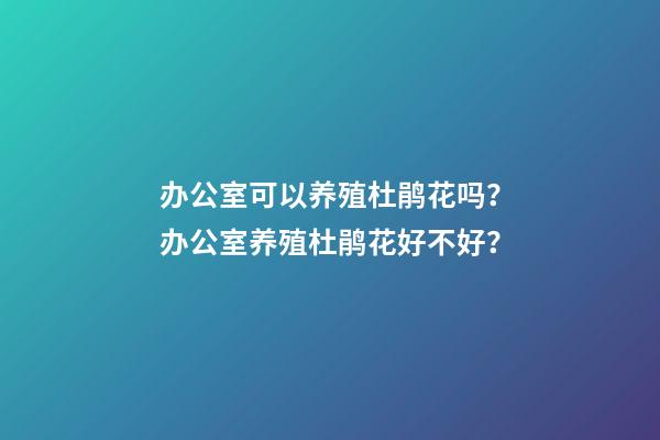 办公室可以养殖杜鹃花吗？办公室养殖杜鹃花好不好？