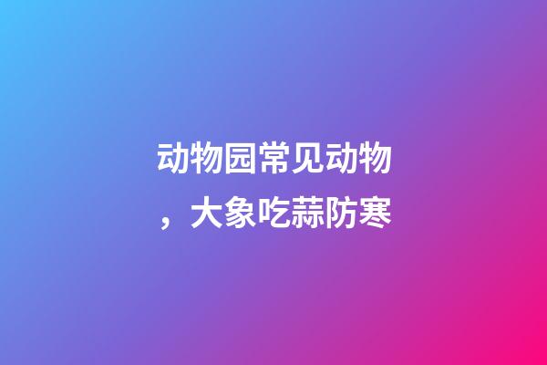 动物园常见动物，大象吃蒜防寒-第1张-观点-玄机派