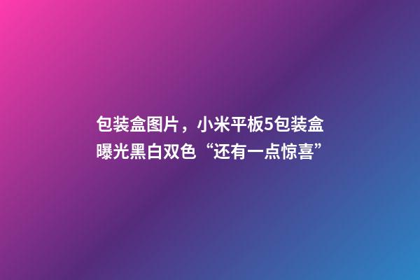 包装盒图片，小米平板5包装盒曝光黑白双色“还有一点惊喜”-第1张-观点-玄机派