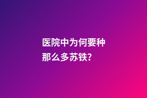 医院中为何要种那么多苏铁？