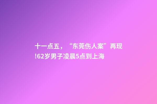 十一点五，“东莞伤人案”再现!62岁男子凌晨5点到上海-第1张-观点-玄机派