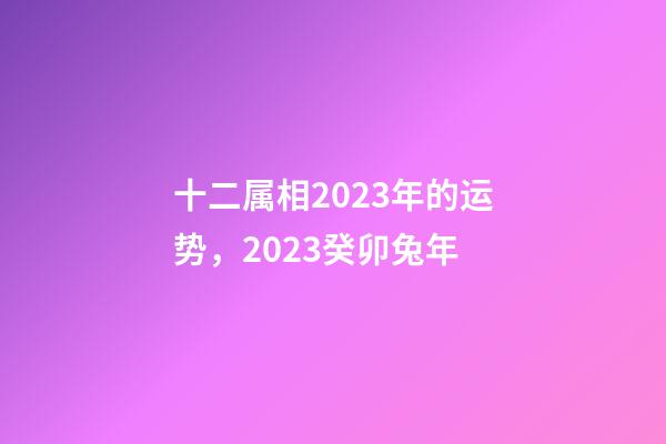 十二属相2023年的运势，2023癸卯兔年-第1张-观点-玄机派