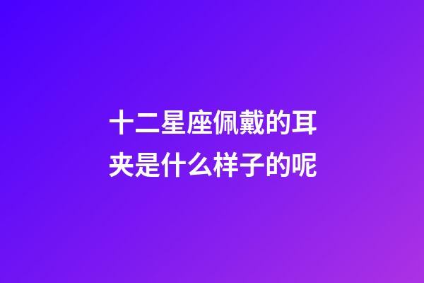 十二星座佩戴的耳夹是什么样子的呢-第1张-星座运势-玄机派