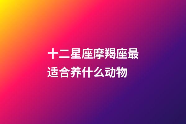 十二星座摩羯座最适合养什么动物-第1张-星座运势-玄机派