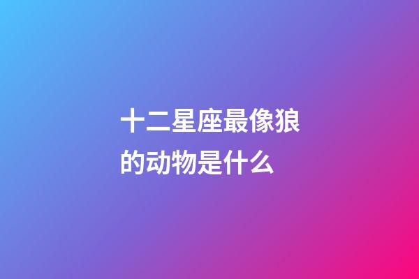 十二星座最像狼的动物是什么-第1张-星座运势-玄机派