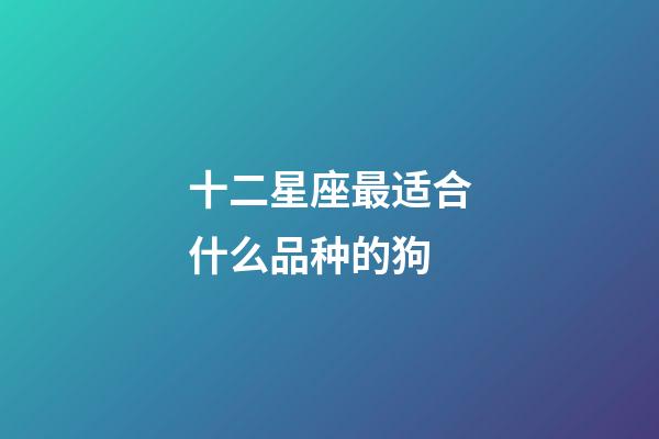 十二星座最适合什么品种的狗-第1张-星座运势-玄机派