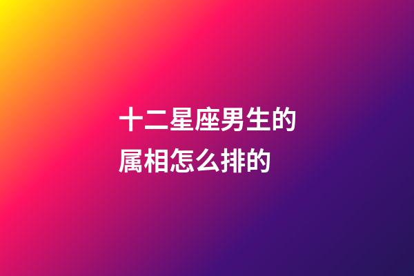 十二星座男生的属相怎么排的-第1张-星座运势-玄机派