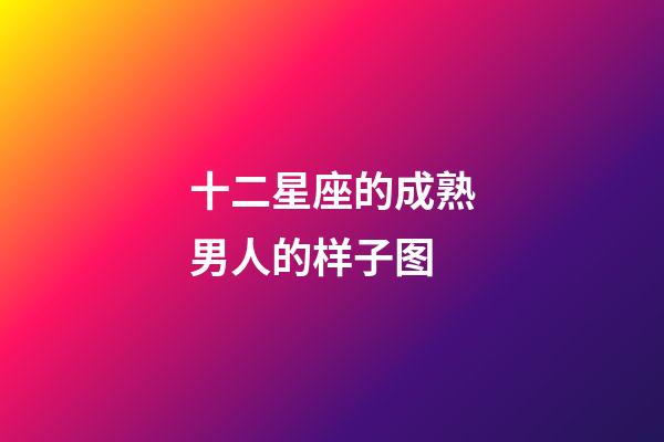 十二星座的成熟男人的样子图-第1张-星座运势-玄机派