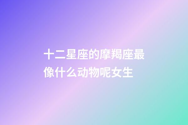 十二星座的摩羯座最像什么动物呢女生-第1张-星座运势-玄机派