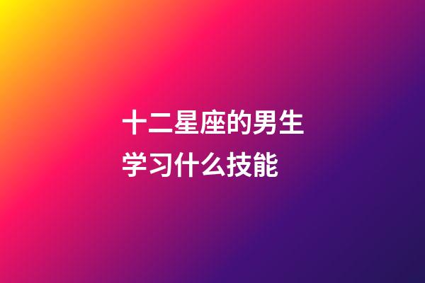 十二星座的男生学习什么技能-第1张-星座运势-玄机派