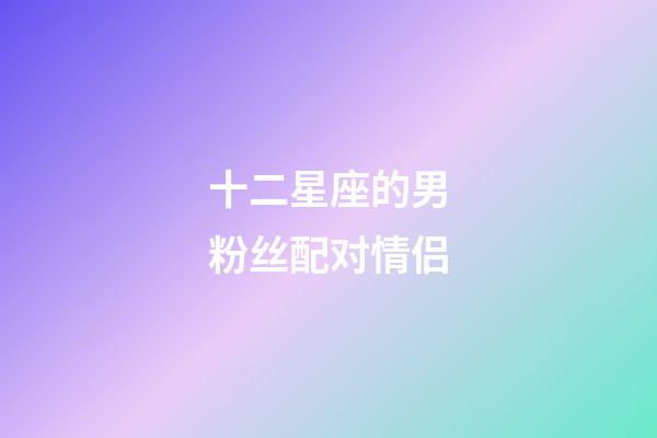 十二星座的男粉丝配对情侣-第1张-星座运势-玄机派