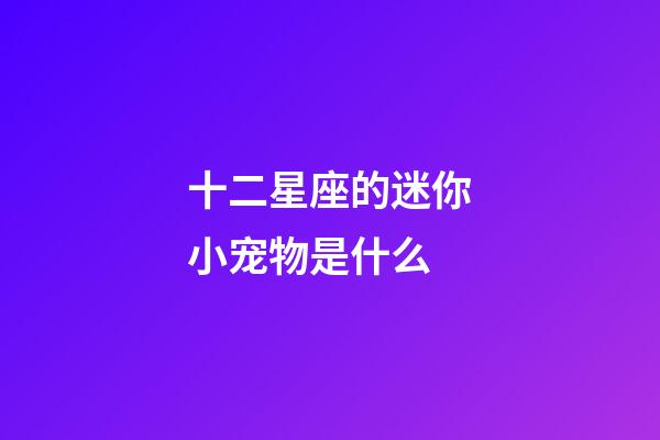 十二星座的迷你小宠物是什么