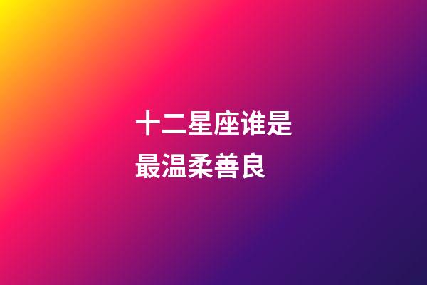 十二星座谁是最温柔善良-第1张-星座运势-玄机派