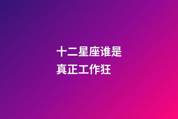 十二星座谁是真正工作狂-第1张-星座运势-玄机派