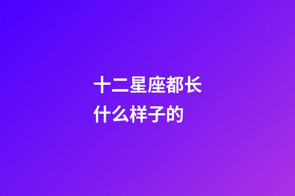 十二星座都长什么样子的-第1张-星座运势-玄机派