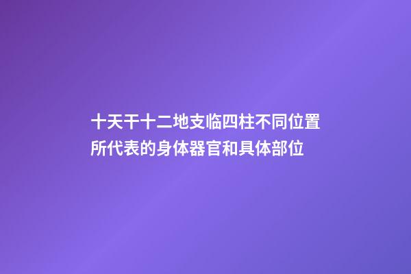 十天干十二地支临四柱不同位置所代表的身体器官和具体部位