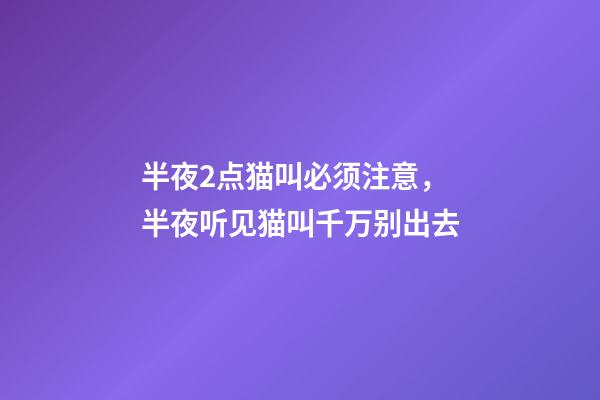 半夜2点猫叫必须注意，半夜听见猫叫千万别出去-第1张-观点-玄机派