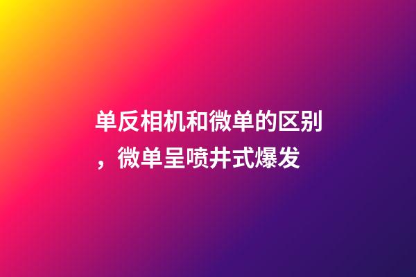 单反相机和微单的区别，微单呈喷井式爆发-第1张-观点-玄机派