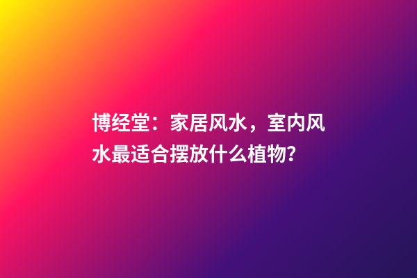 博经堂：家居风水，室内风水最适合摆放什么植物？