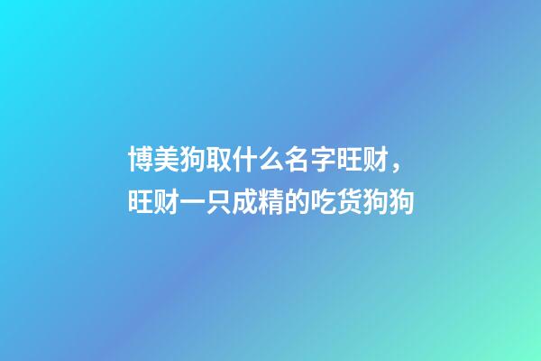 博美狗取什么名字旺财，旺财一只成精的吃货狗狗-第1张-观点-玄机派