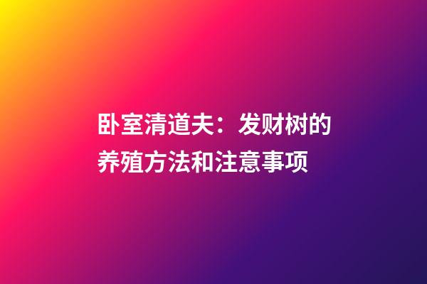 卧室清道夫：发财树的养殖方法和注意事项