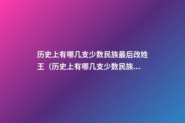 历史上有哪几支少数民族最后改姓王（历史上有哪几支少数民族最后改姓王的）