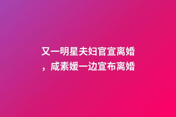 又一明星夫妇官宣离婚，咸素媛一边宣布离婚-第1张-观点-玄机派